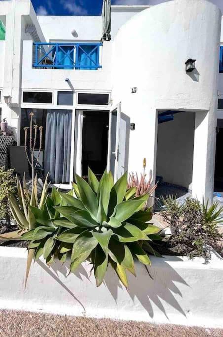 شقة 17 Puerto Del Carmen Blueshark المظهر الخارجي الصورة